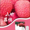 SP2S煙彈一代通用 / 3顆入 / 不用我說的銷冠【滿十送SP主機】